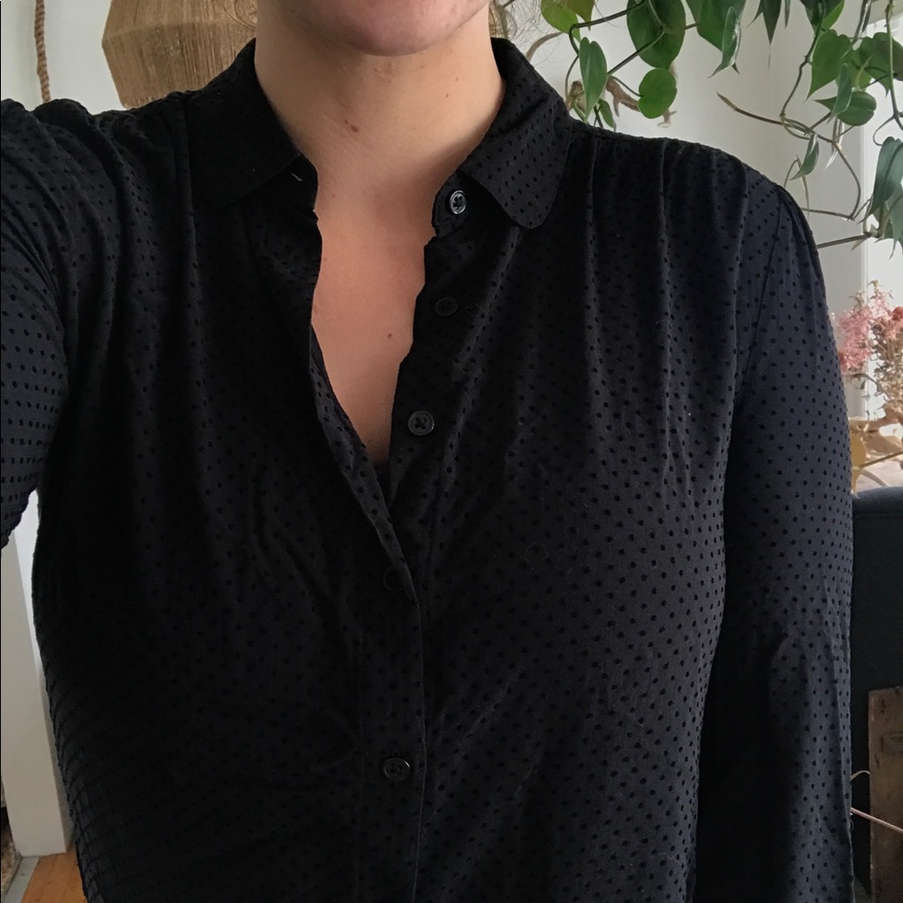 LOFT long sleeve button up blouse with velvet dots